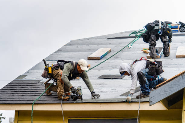 Professional Gutter Installation technician working in West Point, TX